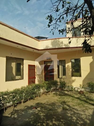 1 Kanal Single Story House Available For Rent
