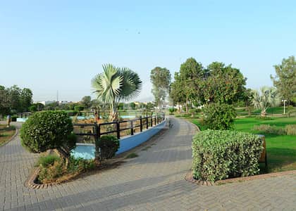 Dha Labore Phase 10 5 Marla File Availabe Ready For Transfer , Ballot Soon