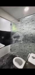 5 5