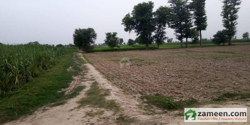 Agriculture Land Renala Khurd Shergarh Road Chak No 28-AL For Sale Agriculture Land Renala Khurd Shergarh Road Chak No 28-AL For Sale