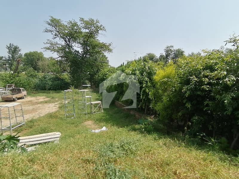 Buying A Residential Plot In F-8/1? Buying A Residential Plot In F-8/1?