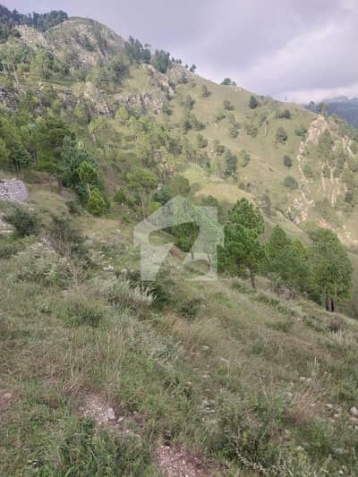 باڑیاں مری میں 50 کنال رہائشی پلاٹ 35.0 کروڑ میں برائے فروخت۔