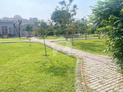 20 Marla Plot Available In Phase 6 Block N In Numbering 900 Available Hot Location Pls Contact For Any Requirement Fair Deal InshAllah