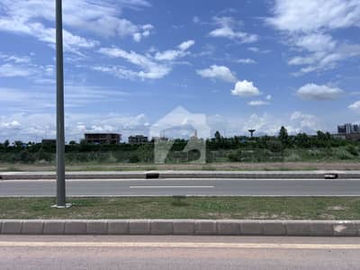 1st Avenue / Front Open / Level Plot / Solid Land