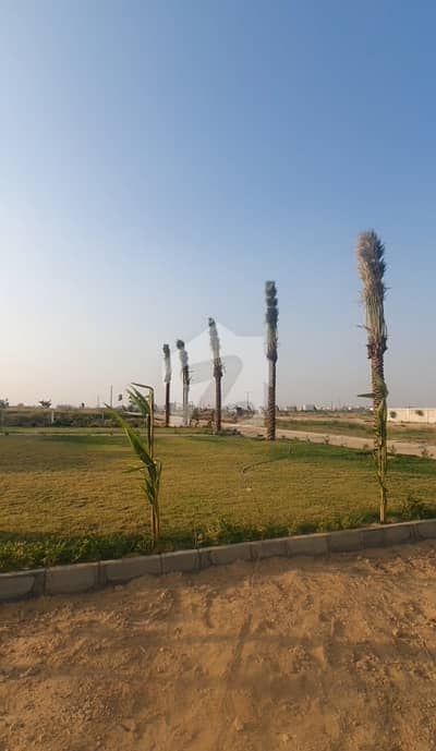 Ghandara CHS 1000 Square Yards Plot