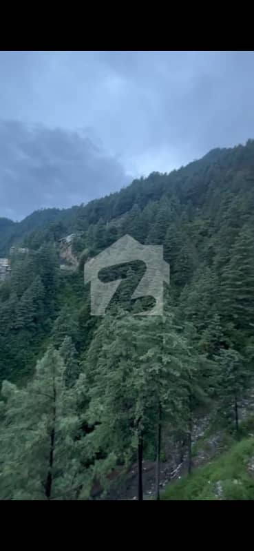 خیرہ گلی گلیات,ایبٹ آباد میں 5 کمروں کا 10 مرلہ مکان 10.0 کروڑ میں برائے فروخت۔