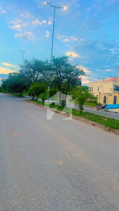 1 Kanal Plot For Sale Invster Price Block F