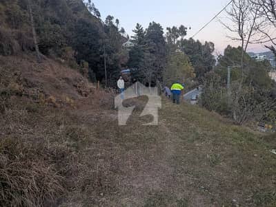 پتریاٹہ نیو مری,مری میں 1 کنال رہائشی پلاٹ 2.0 کروڑ میں برائے فروخت۔