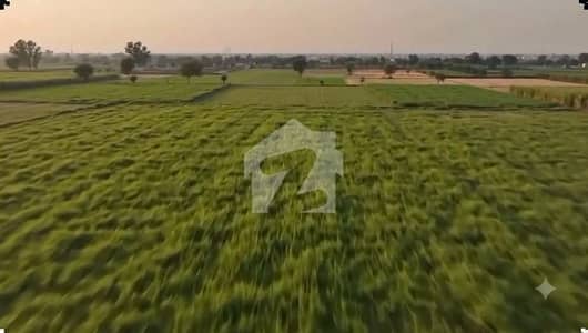 Lahore Organic Farms Society Located on Main Barki Road, Lahore.