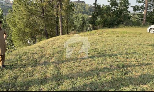 22 marla Residential plot for sale