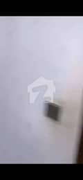 10 10