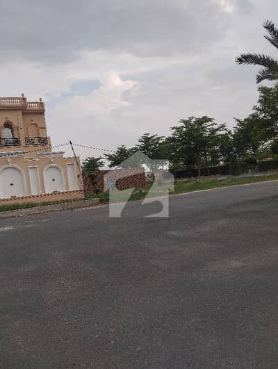24 Marla Plot For Sale City Life Housing Society Chunnia