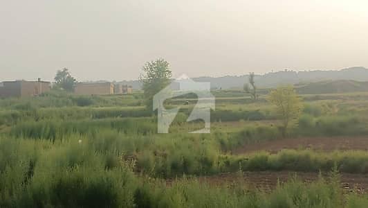 بسالی راولپنڈی میں 232 کنال رہائشی پلاٹ 10.44 کروڑ میں برائے فروخت۔