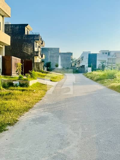 A 3200 Square Feet Residential Plot Is Up For Grabs In D-12
