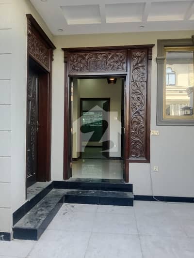 A 1000 Square Feet House Is Up For Grabs In D-12