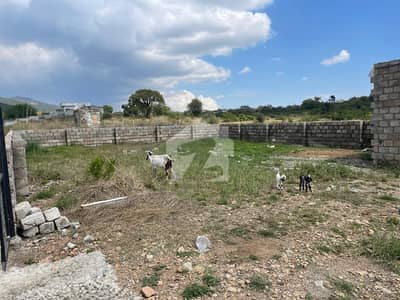 Get This Amazing 2 Kanal Farm House Available In Shah Allah Ditta