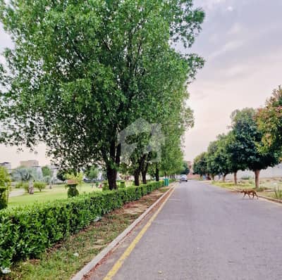 10 Marla Facing Park Plot 40 feet Road Prime Location Neabry Population LDA Approved