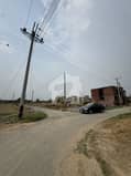 5 5
