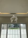 20 