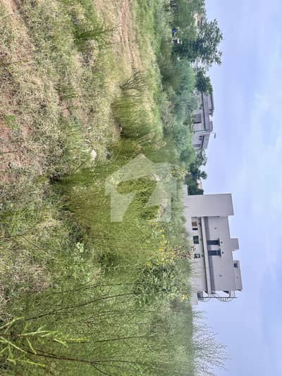 بحریہ ٹاؤن فیز 8 ۔ بلاک ایچ بحریہ ٹاؤن فیز 8,بحریہ ٹاؤن راولپنڈی,راولپنڈی میں 13 مرلہ رہائشی پلاٹ 1.15 کروڑ میں برائے فروخت۔ بحریہ ٹاؤن فیز 8 ۔ بلاک ایچ بحریہ ٹاؤن فیز 8,بحریہ ٹاؤن راولپنڈی,راولپنڈی میں 13 مرلہ رہائشی پلاٹ 1.15 کروڑ میں برائے فروخت۔