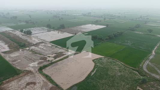 Shahkot 45 Acres Agriculture Land For Sale Sangla to Shahkot Road 4 KM from Shahkot