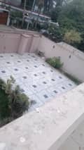 5 5