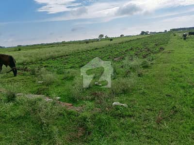 Land Is Available For Sale Chakbeli Road Jawa Roads