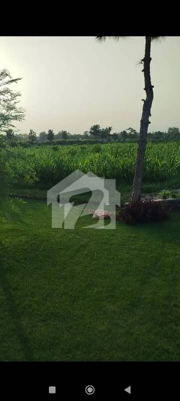 20 Kanal farm for sale