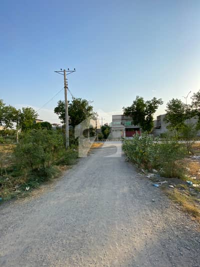 Prime 5 Marla Plot for Sale in Regi Model Town Prime 5 Marla Plot for Sale in Regi Model Town