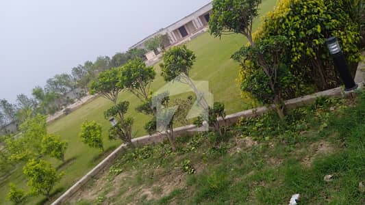 برکی روڈ کینٹ,لاہور میں 21 کنال زرعی زمین 9.25 کروڑ میں برائے فروخت۔