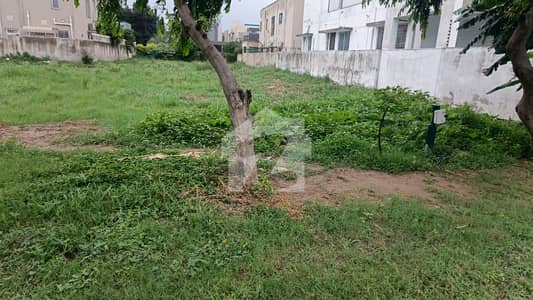 Prominently-Located Residential Plot Available In DHA Phase 6 - Block L For sale Prominently-Located Residential Plot Available In DHA Phase 6 - Block L For sale