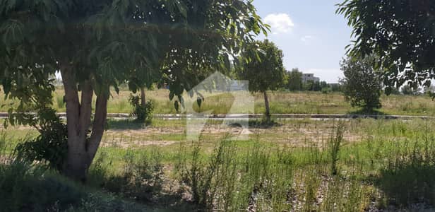 Nea Mosque & Park Fabulous Location 1 Kanal plot sector C