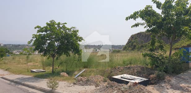 South Open, Good Location, 1 Kanal Plot For Sale Sector - D