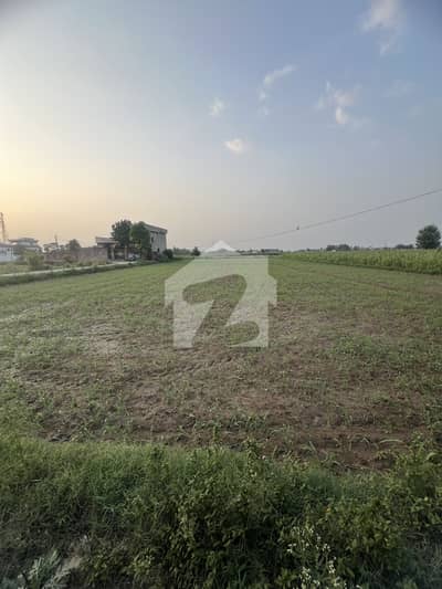 13 Kanal Agricultural Land for Sale Prime Location Near Marala Road
