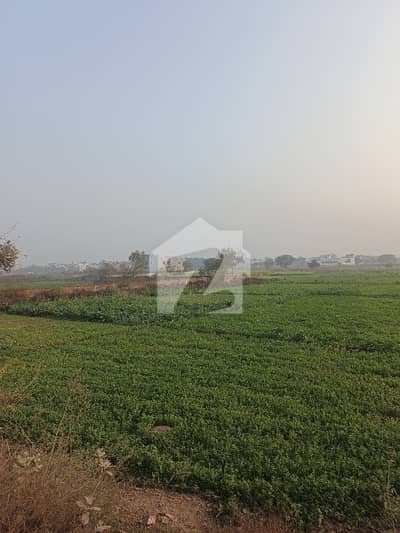 Plot Form Of 21 Kanal In IEP Engineers Town For Sale