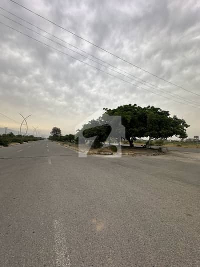 10 Marla south facing plot in a developed sector of zone 4 at sector C2 is available for sale 10 Marla south facing plot in a developed sector of zone 4 at sector C2 is available for sale