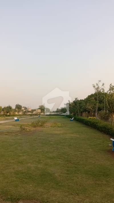 Ideal East Open 60 Feet 190sq Yards Residential Plot For Sale In Sector 31 Punjabi Saudagar City Phase 2