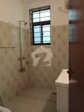 7 7