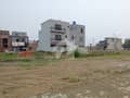 20 