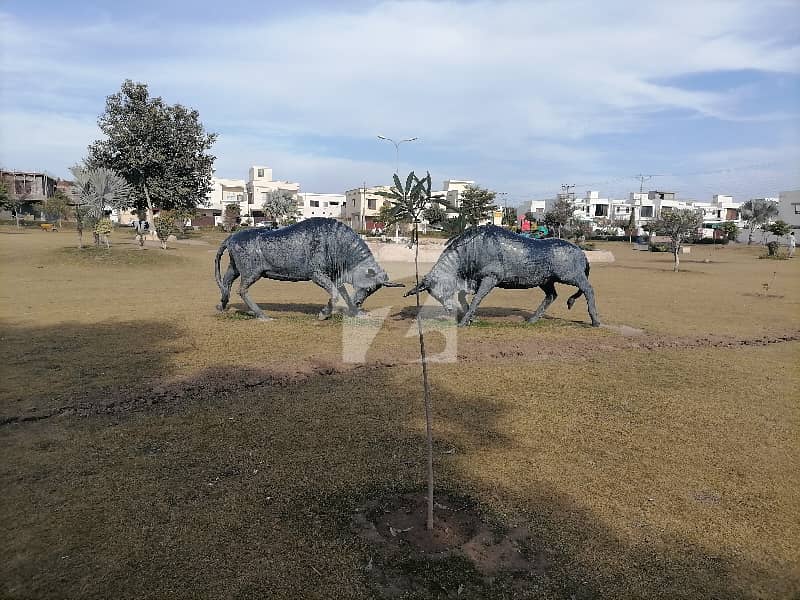 5 5