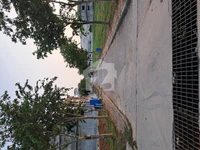 Kanal Plot Available For Sale Top City