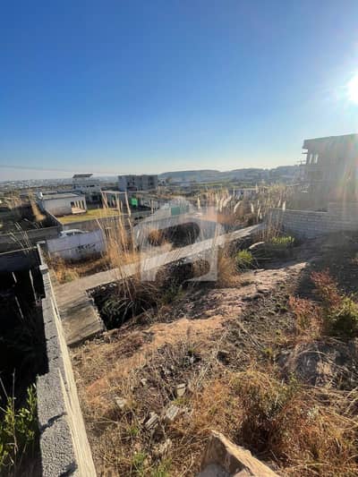 1 Kanal Plot For Sale In Shah Allah Ditta