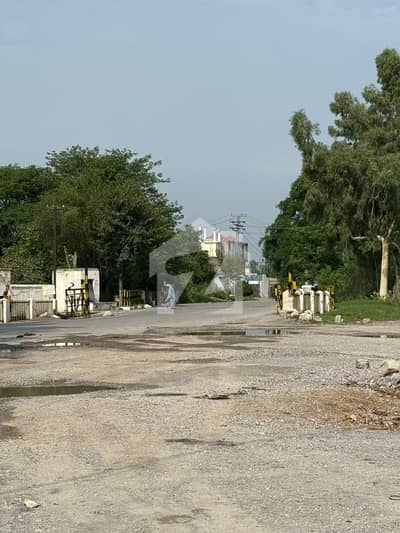 10 marla farm house for sale in hassanabdal  Near to rajpoot floor mill 2 bed  Servant room
