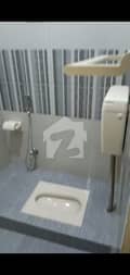 3 3
