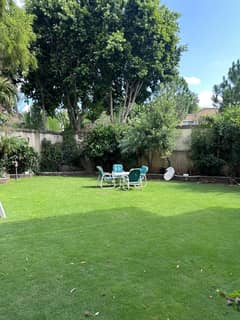 Luxury Furnished villa available for sale with 10 marla lawn Luxury Furnished villa available for sale with 10 marla lawn