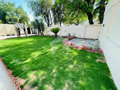 F-7 Renovated House With Beautiful Garden Available For Rent.