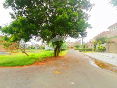 10 Marla Commercial Corner Plot For Sale In OPF D Block