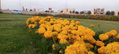 ALI BLOCK Precicnt-12 Near Grand Mosque Plot Available FOR SALE