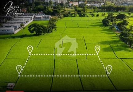 Jheel Road Plots For Sale On Beautiful Locations