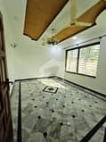 6 6